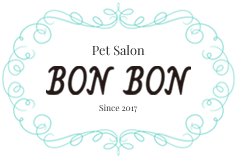 板橋区西台・埼玉県大宮で犬のトリミングならPet Salon BONBON（ボンボン）。